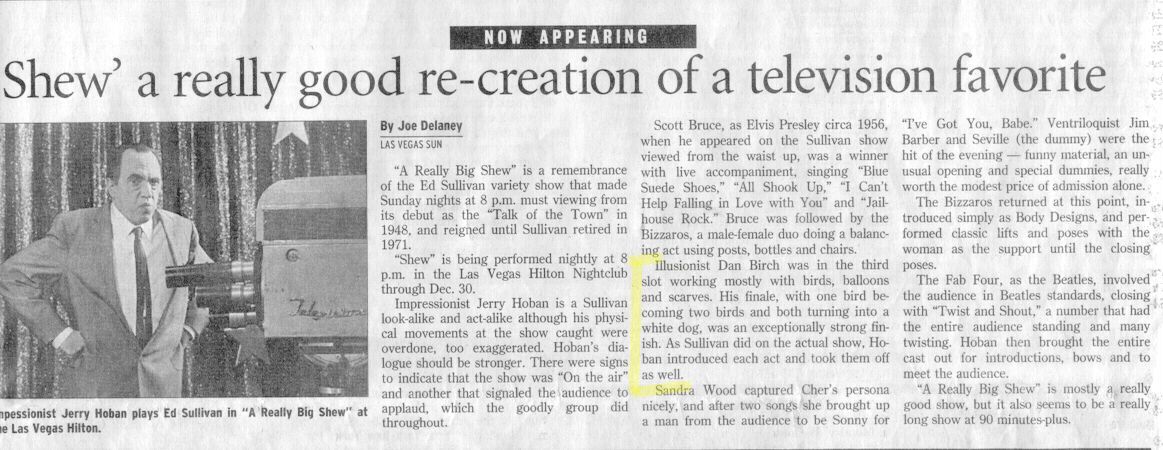 Las Vegas Sun Review.jpg (131810 bytes)